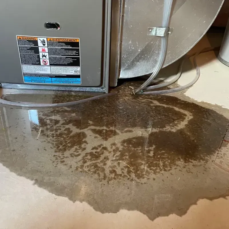 Appliance Leak Cleanup in Fishersville, VA